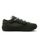 VN000EFGEN6　LX OLD SKOOL 36 FM　PINE FOREST　695448-0001