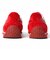 232517　IRIS　H-RED　689634-0001