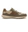 C42249　GRANDPRO ASHLAND　OAT/SEA TURTLE　703368-0001