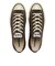 31316521　AS AGED AC OX　DARK UMBER　703423-0001
