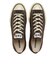 31316521　AS AGED AC OX　DARK UMBER　703423-0001