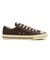 31316521　AS AGED AC OX　DARK UMBER　703423-0001