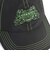 026595　M RIPNDIP DAD CAP　01BK　699651-0001