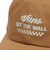 126R7160100　VANS Westfalen Low Cap　BROWN　705411-0002