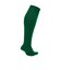 SX5728　U CLASSIC FTB SOCKS　302PINE G/WHITE　708446-0001