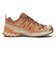 L47987800　XA PRO 3D V9 GTX W　Pecan Brown/Nec　709091-0001