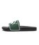 384139　LEADCAT 2.0　15Vine/White/BK　690268-0003