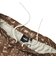 126R1151900　H Hula surfer Hybrid Shorts　BROWN　707281-0002
