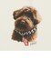126R3011101　W Dog print TEE　WHITE　705875-0001