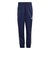 HZ6613　K SST TRACKSUIT　NINDG/GREY　716027-0001
