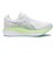 1011C229.100　GEL-KAYANO 33 EW　WHITE/E AQUA　717863-0001