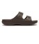 213316-23Q　SATURADAY METALLIC BUCKLE SDL　ESPRESSO/GOLD　717545-0001