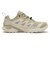 L45458100　X-ADVENTURE GTX W　Safari/Almond　717818-0001