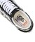 VN000EDN9X1　SKATE OLD SKOOL　S.PILE BK/WT/G　699476-0001