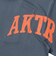 226-021005　F.A. ARCHED LOGO SP TEE　SLATE BLUE　715182-0001
