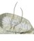 126-029002　MELT CAMO 6.5-INCH SHORTS　WHITE　709198-0002