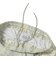 126-029002　MELT CAMO 6.5-INCH SHORTS　WHITE　709198-0002