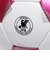 F5K4000-WM　ﾍﾟﾚｰﾀﾞ4000(5ｺﾞｳ)　WHT/MGT　697693-0001