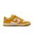 WIB4417　W DUNK LOW　101PALIVR/DKSL　699674-0002