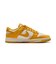 WIB4417　W DUNK LOW　101PALIVR/DKSL　699674-0002