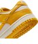 WIB4417　W DUNK LOW　101PALIVR/DKSL　699674-0002