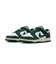 WIB4417　W DUNK LOW　100SMTWHT/GREG　699674-0001