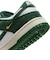 WIB4417　W DUNK LOW　100SMTWHT/GREG　699674-0001