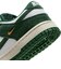 WIB4417　W DUNK LOW　100SMTWHT/GREG　699674-0001