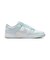 WIB7311　W DUNK LOW NEXT NATURE　100WHT/BLTINT　695808-0002