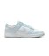 WIB7311　W DUNK LOW NEXT NATURE　100WHT/BLTINT　695808-0002