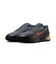 MFZ5307　AIRMAX PHOENIX　010D GREY/TURFO　699901-0009