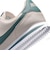 KIQ7636　17-22 CORTEZ (PSV)　108CHALK/MNRLSL　705358-0004