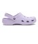 10001-0UJ　CLASSIC　PURPLE HALO　712178-0001