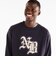 MT62B6R5DNT　M Varsity ｽｳｪｯﾄｸﾙｰ　DNT　719582-0001