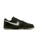 MIO4224　BIG NIKE LOW LUX　300SEQUOI/SAIL　721360-0002