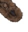 31319190　AS POINTEDTOE VOLUMEFUR SL OX　W.BROWN　721464-0001
