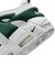 MFZ3055　AIR MORE UPTEMPO LOW　102WHT/FIR　699666-0001