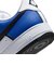 MIM5752　AIR FORCE 1 '07 LV8 SPORT　400OLDRYL/BLACK　716330-0004
