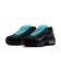 MIM4691　AIRMAX 95 BB QS　001BLACK/CHROME　716328-0001