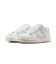 WIB7311　W DUNK LOW NEXT NATURE　001METPLT/SMTW　695808-0001