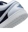 WFZ8778　W AIR JORDAN 1 LOW SE　044FTBLGY/MNNAV　716309-0001
