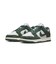 WHJ7673　W DUNK LOW　002PTNDST/VINT　683643-0003