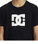 【DC ディーシー公式通販】ディーシー （DC SHOES）【OUTLET】DC Shoes DC STAR SS BOY キッズ Tシャツ