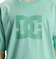 【DC ディーシー公式通販】ディーシー （DC SHOES）【OUTLET】DC Shoes DC STAR PIGMENT DYE HSS Tシャツ メンズ