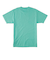 【DC ディーシー公式通販】ディーシー （DC SHOES）【OUTLET】DC Shoes DC STAR PIGMENT DYE HSS Tシャツ メンズ