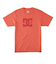 【DC ディーシー公式通販】ディーシー （DC SHOES）【OUTLET】DC Shoes DC STAR PIGMENT DYE HSS Tシャツ メンズ