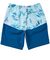 【OUTLET】Quiksilver TROPIC FEVER VOLLEY 20NB ボードショーツ メンズ