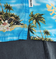 【QUIKSILVER クイックシルバー 公式通販】クイックシルバー （QUIKSILVER）Quiksilver SAFE PARADISE SS