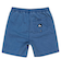 Quiksilver TAXER YOUTH キッズ ショーツ ハーフパンツ