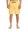 Quiksilver EVERYDAY SOLID VOLLEY 19 メンズ ボードショーツ